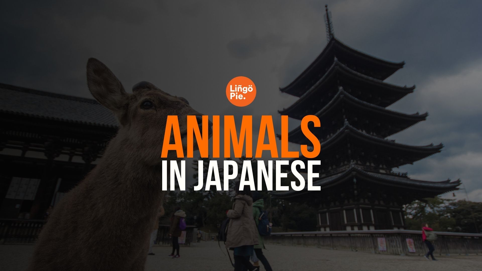 Animals In Japanese: 20+ Useful Japanese Words